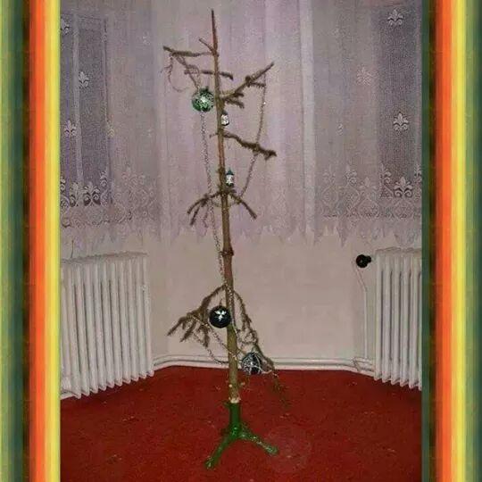 diverse - img172439858021806.jpeg